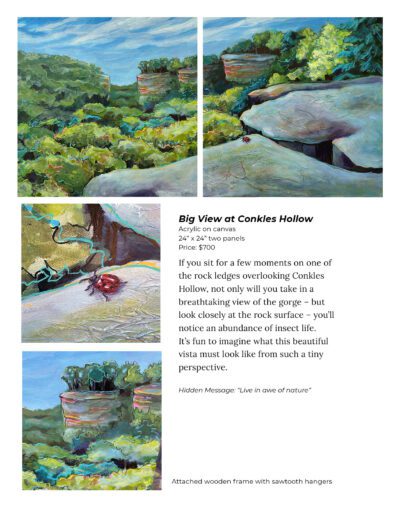 Magic in Nature Collection15_Big View Conkles